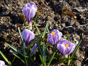 DSCN4388.JPG