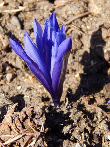 DSCN4395.JPG