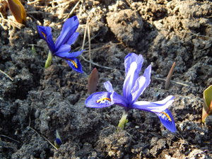 DSCN4396.JPG