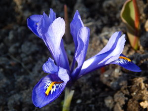 DSCN4397.JPG
