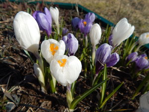 DSCN4406.JPG