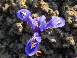 DSCN4420.JPG