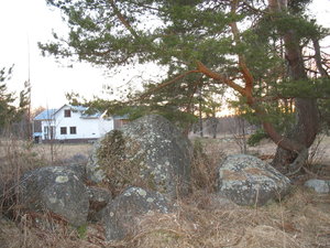IMG_8689.jpg