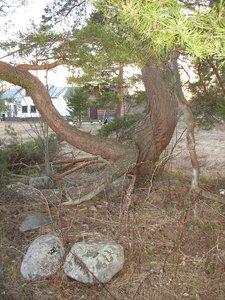 IMG_8692.jpg