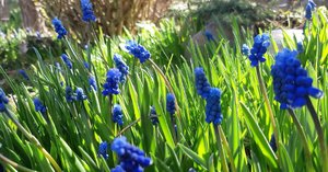 IMG_20210501_161109_861.jpg