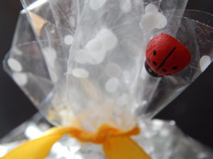 DSCN4435.JPG