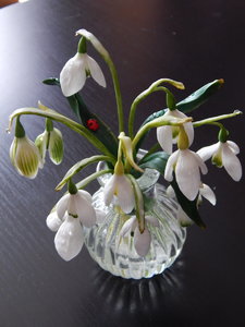 DSCN4436.JPG