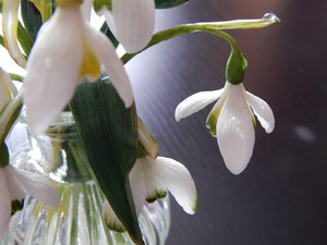 DSCN4437.JPG