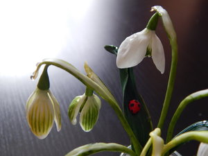 DSCN4438.JPG