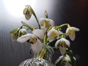 DSCN4440.JPG