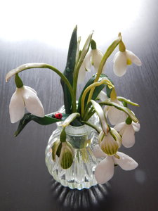 DSCN4444.JPG