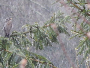 DSCN4525.JPG