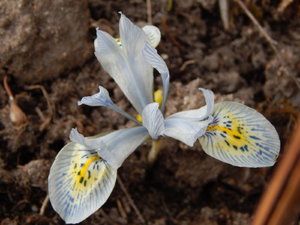 DSCN4472.JPG