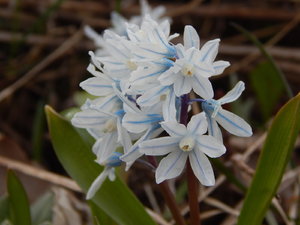 DSCN4486.JPG