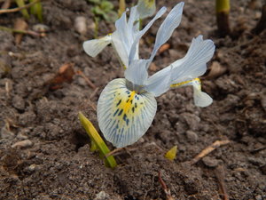 DSCN4490.JPG