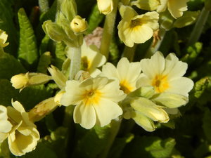 DSCN4449.JPG