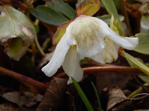 DSCN4465.JPG