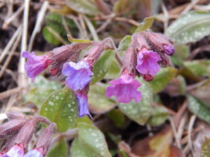 DSCN4504.JPG