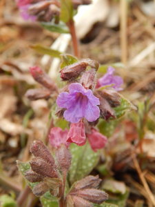 DSCN4506.JPG