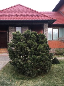709AD6EB-43E9-47AE-AC76-8AAB420D6433.jpeg