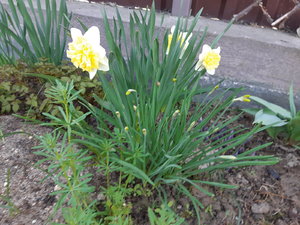 20210514_064153.jpg