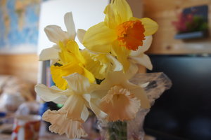 DSC08422.JPG