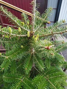 IMG_20210512_182916.jpg
