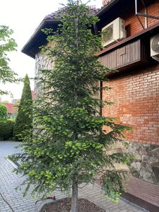 0B7A47B5-C656-43A7-9FCF-1F274D37186F.jpeg