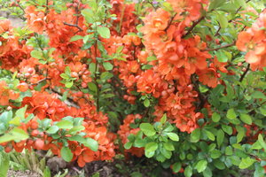 IMG_5224.JPG
