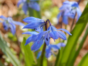 DSCN4617.JPG
