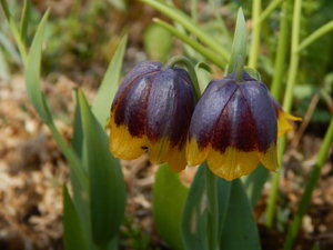 DSCN4564.JPG