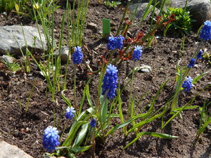 DSCN4573.JPG