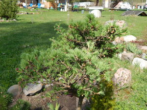 DSCN4597.JPG