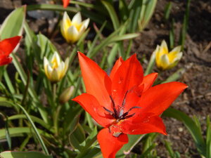 DSCN4576.JPG