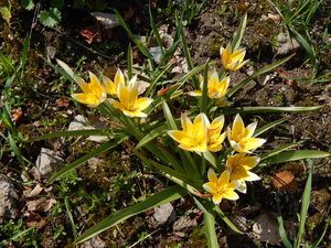 DSCN4588.JPG