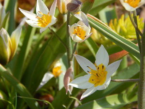DSCN4593.JPG