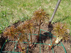 DSCN4581.JPG