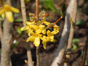 DSCN4583.JPG