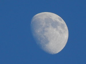 DSCN4721.JPG