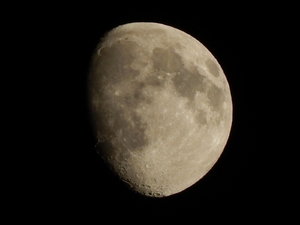DSCN4731.JPG