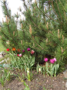 DSCN4747.JPG