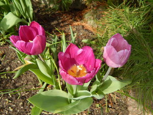 DSCN4748.JPG