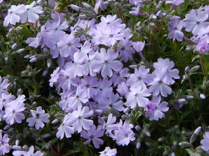 DSCN4656.JPG
