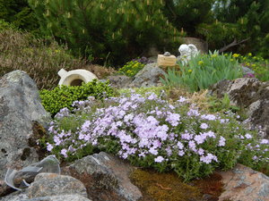 DSCN4786.JPG