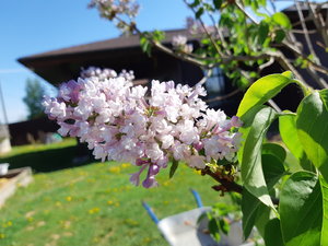 20210526_090353.jpg