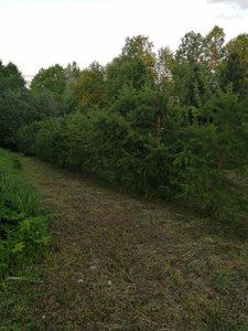 IMG_20210527_203348.jpg