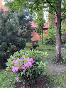 51DE7254-4F99-4EA2-939E-077B8A4CB550.jpeg