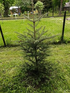 IMG_20210528_141905.jpg