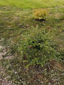 IMG_20210528_141943.jpg
