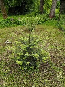 IMG_20210528_142259.jpg